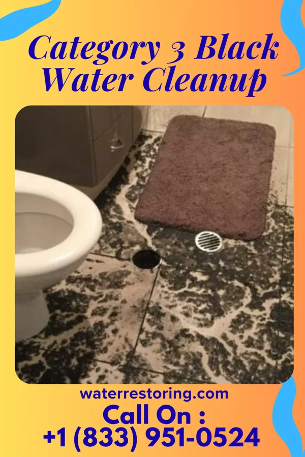 Category 3 Black Water Cleanup in New Middletown, OH
