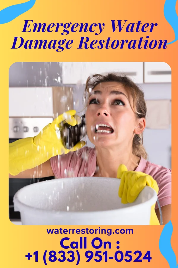 Emergency Water Damage Restoration in New Middletown, OH