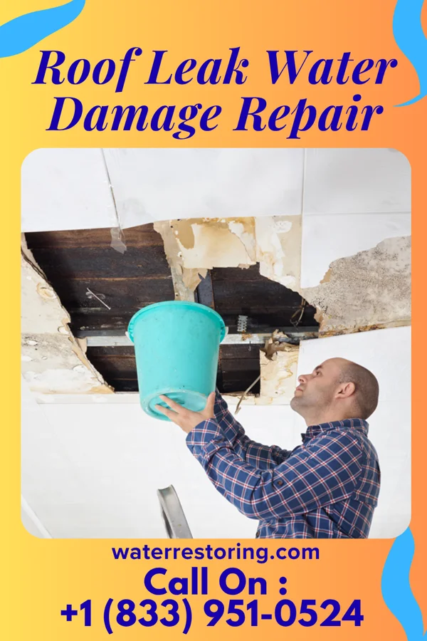 Roof Leak Water Damage Repair in New Middletown, OH